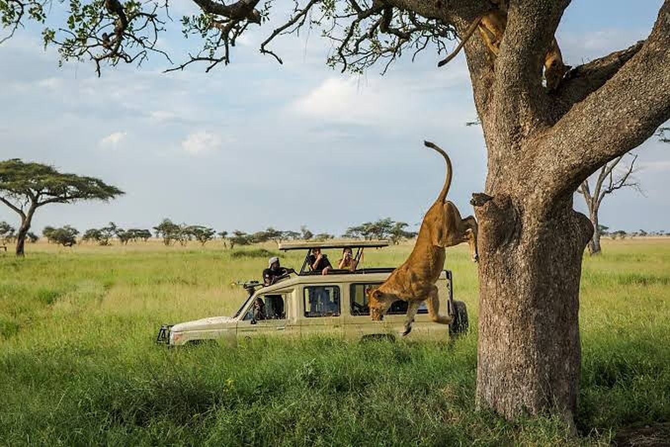 Reaching a lodge is getting dearer five times faster than the lodge. Nairobi and Kampala published it on the same day.