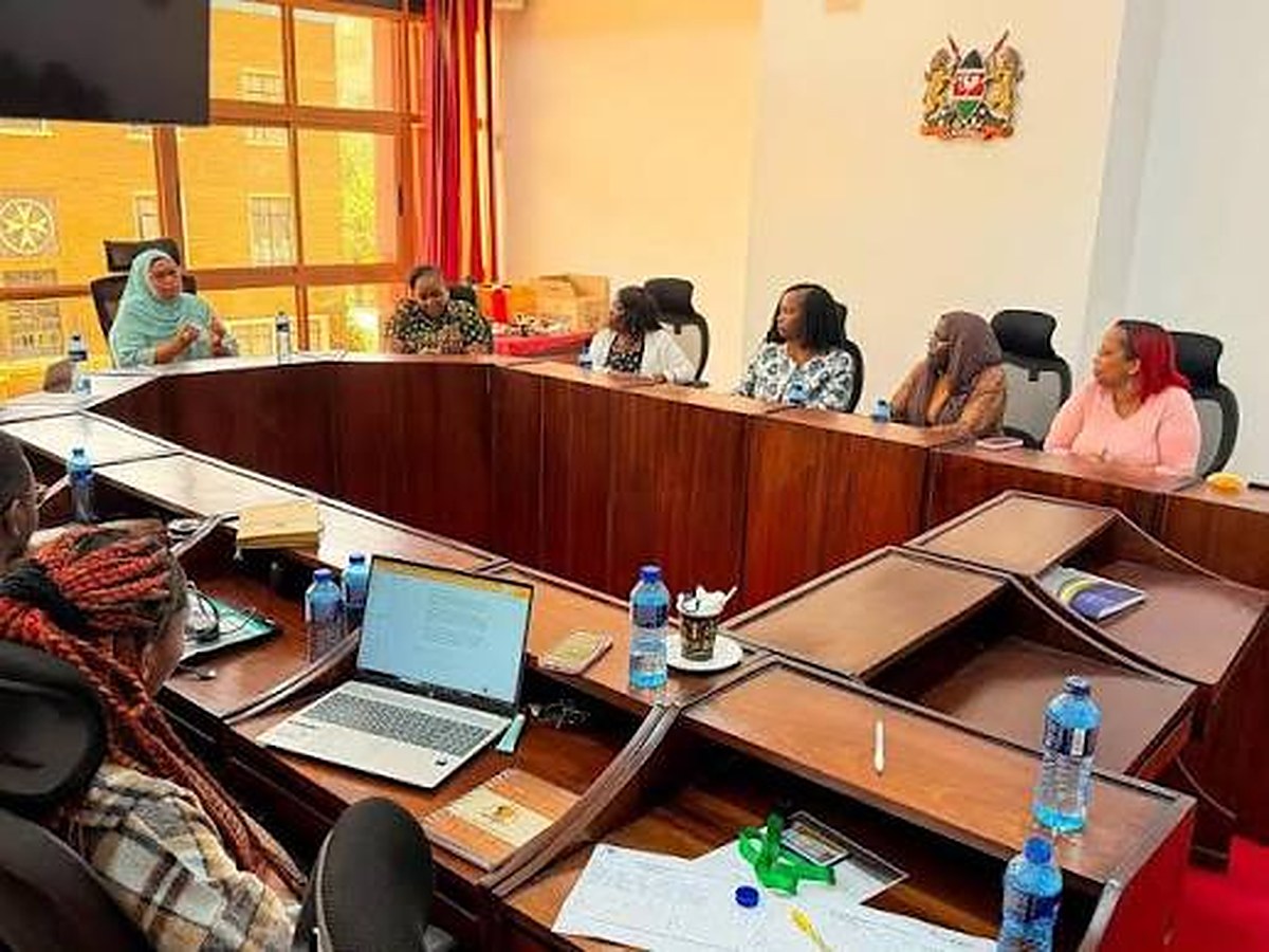 Europe spent six years learning to count its beds. Kenya is proposing to abolish the office that counts.