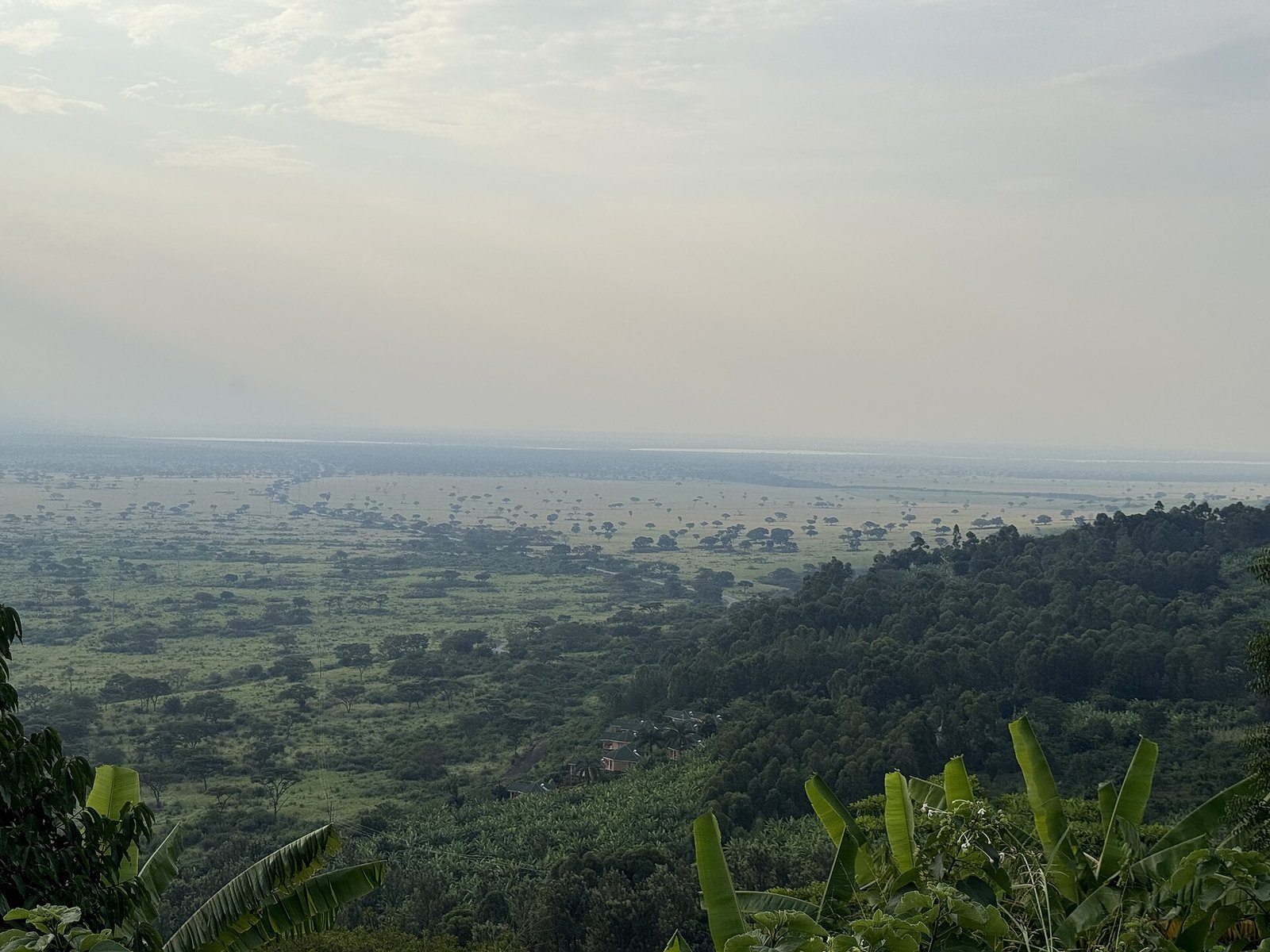Uganda's Ebola all-clear was not an event. It was a queue, and Friday was the first name off it.